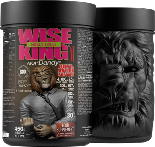 Zoomad Wise King II - 450 g Holly Lolli