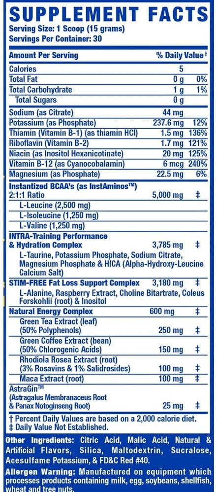 RCSS Amino-Tone + Energy - 450 g America