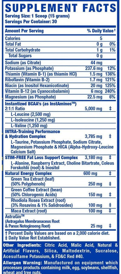 RCSS Amino-Tone + Energy - 450 g America
