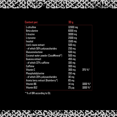 Viking Power Leviathan Hardcore PWO - 660 g Red Berries